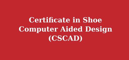 Certificate in Shoe Computer Aided Design (CSCAD)